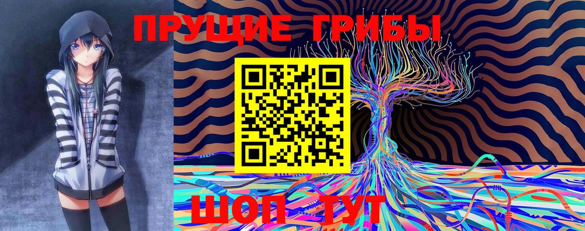 Новоуральск  Псилоцибиновые грибы Psilocybe  Вход с VPN 