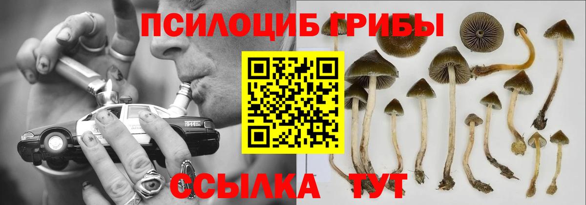 Галлюциногенные грибы мухоморы Новоуральск